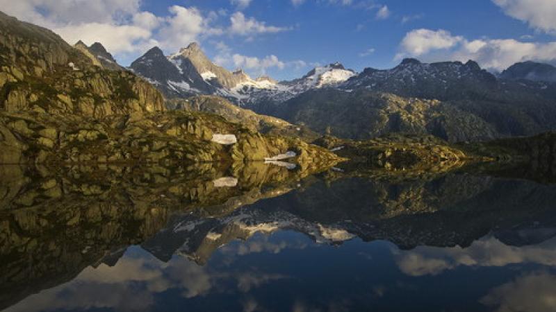 "Natura tra le pagine": il 4 febbraio l'inaugurazione 