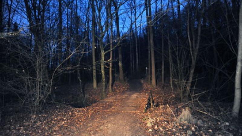 Solstizio sotto le stelle al Parco