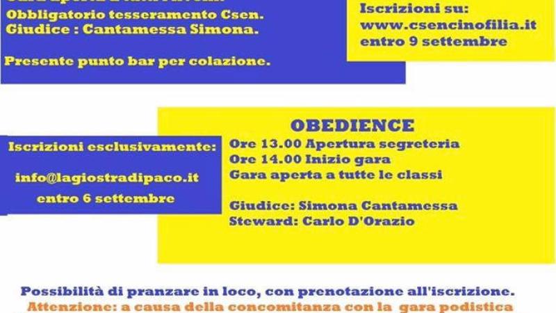Gara doppia Rally Obedience e Obedience