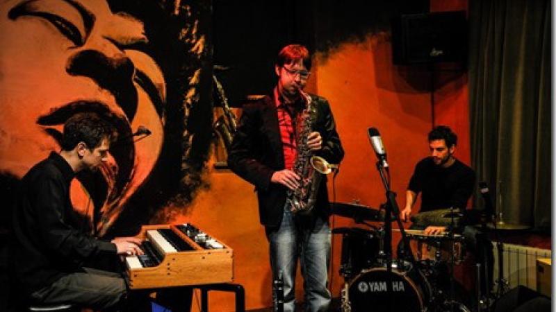 Michele Marini Organic Trio