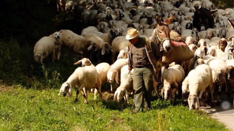 Alla ricerca dei pastori a Corniglio