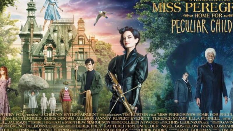 Il cinema di sera al Circolo il Portico