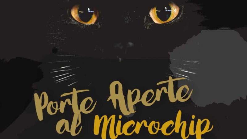 Gatti, il 13 aprile il microchip è gratis