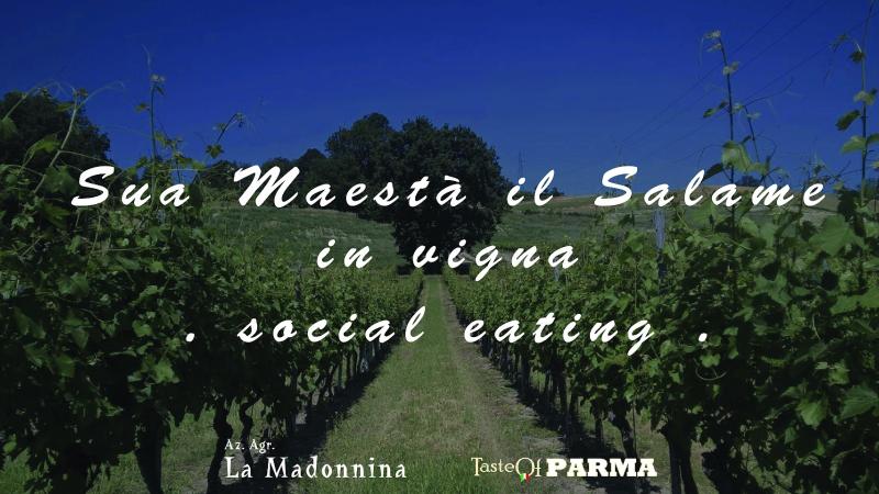 Cena tra vigna e agriturismo