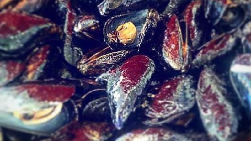Cozze e  Bollicine